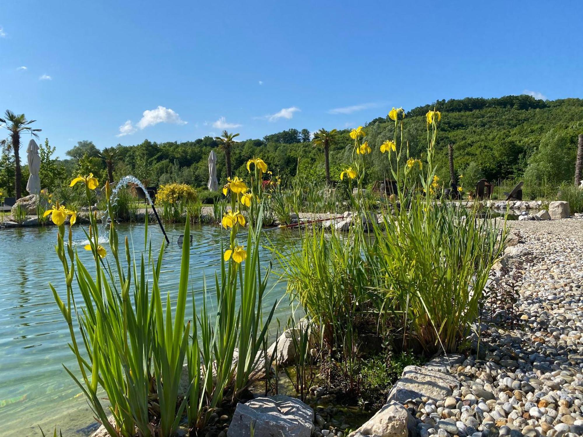 Private Village Varazdin (Adults Only) Pihovec Dış mekan fotoğraf